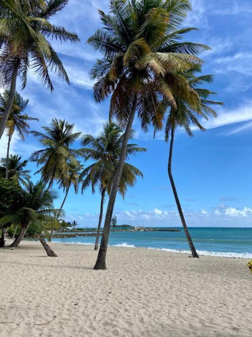 Le Calypso, Beachside Heaven Ле-Гозьє Екстер'єр фото